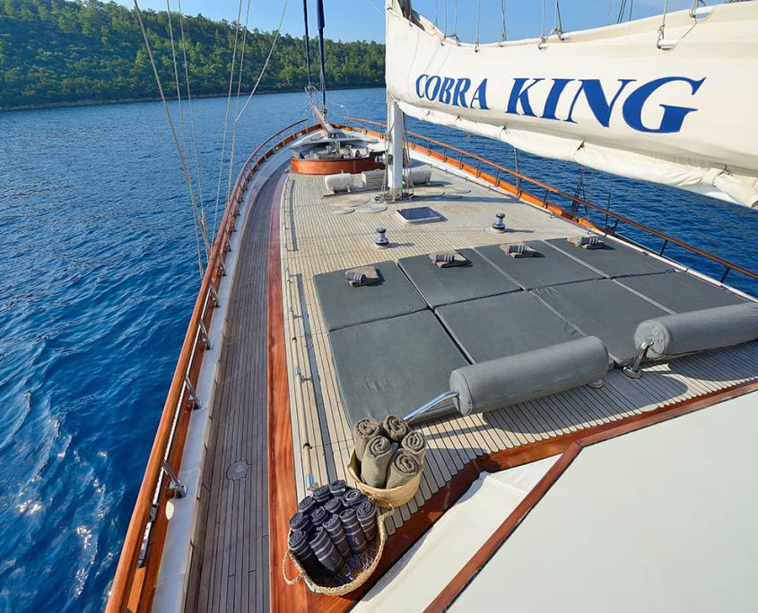 COBRA KING Sun deck