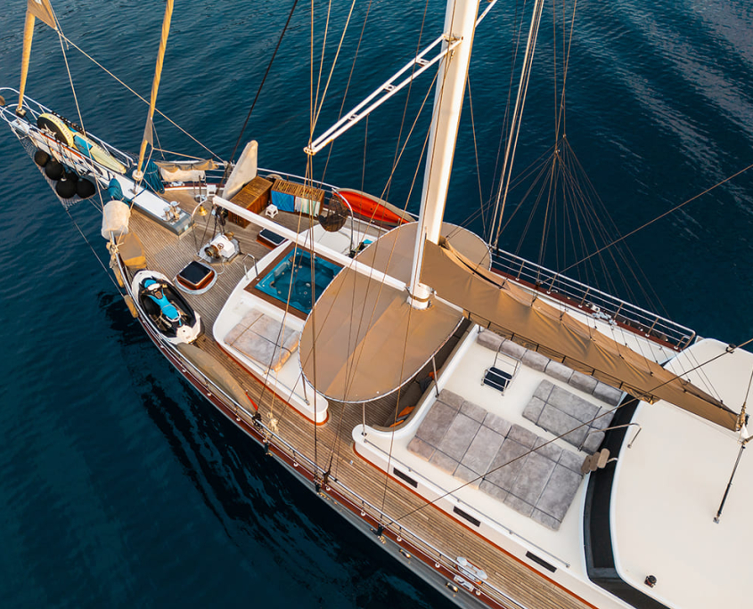 NEVRA QUEEN Anchored