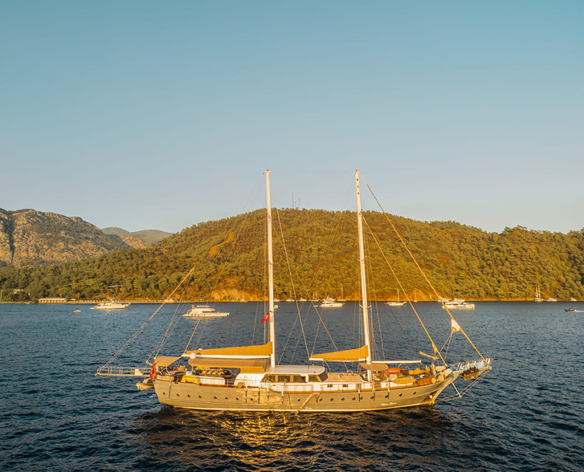NEVRA QUEEN Sunset