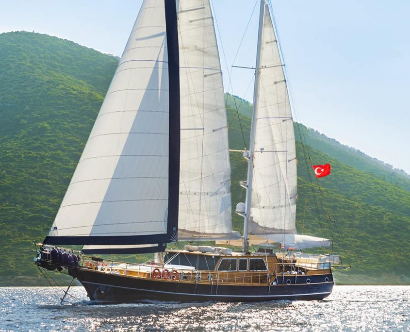 DEA DEL MARE Header image DEA DEL MARE Header image